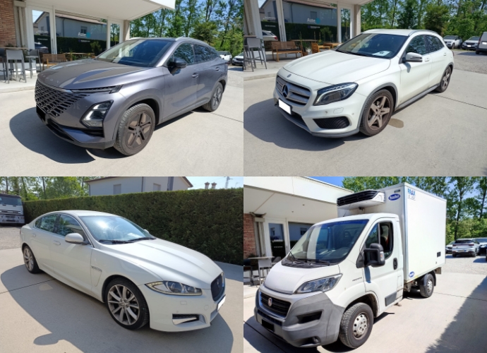 Autoveicoli e autocarri in asta 