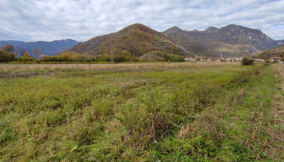 Terreni agricoli: un mercato in crescita, un investimento sicuro