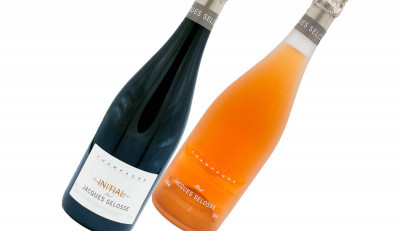 Il Fascino degli Champagne